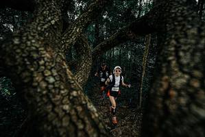 BIB: 
                            <button type="button" onclick="openModal(25679065)" class="btn btn-primary btn-sm float-right btn-popup" data-toggle="modal" data-target=".modal-high-quality">
                        <i class="fas fa-shopping-cart"></i> Add to Cart
                    </button>
                                            <button type="button" onclick="isThisMe(25679065, true)" class="btn btn-success btn-sm float-right btn-popup btn-isme hidden" data-toggle="tooltip" data-placement="bottom" title="นี่คือรูปของคุณใช่ไหม คลิกที่นี่เพื่อเอาเข้าอัลบั้ม">
                        <i class="fas fa-plus"></i> Add to album
                    </button>
                    <button type="button" onclick="isThisMe(25679065, false)" class="btn btn-warning btn-sm float-right btn-popup btn-isnotme hidden">
                        <i class="fas fa-ban"></i> Remove from album
                    </button>